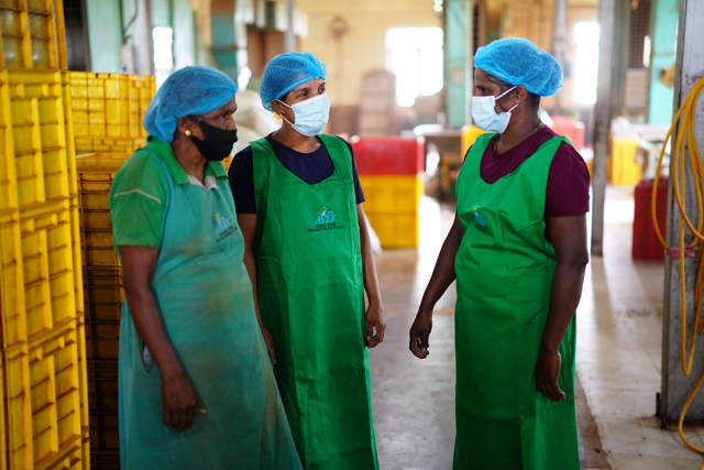 The Soul of Ceylon, in a Cup