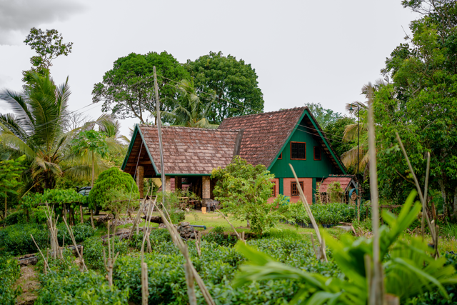 Vintage photo of the original tea factory